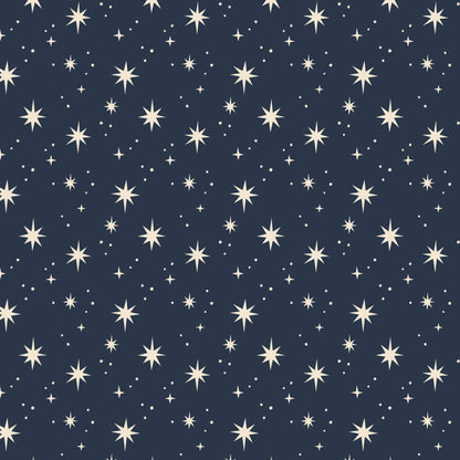 Bird & Co Studio - Star Gazer | Starry Modern-Retro Recycled Gift Wrap Paper